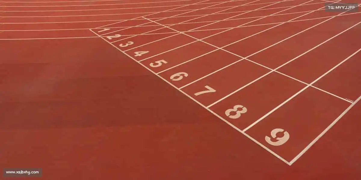 为什么选择我们